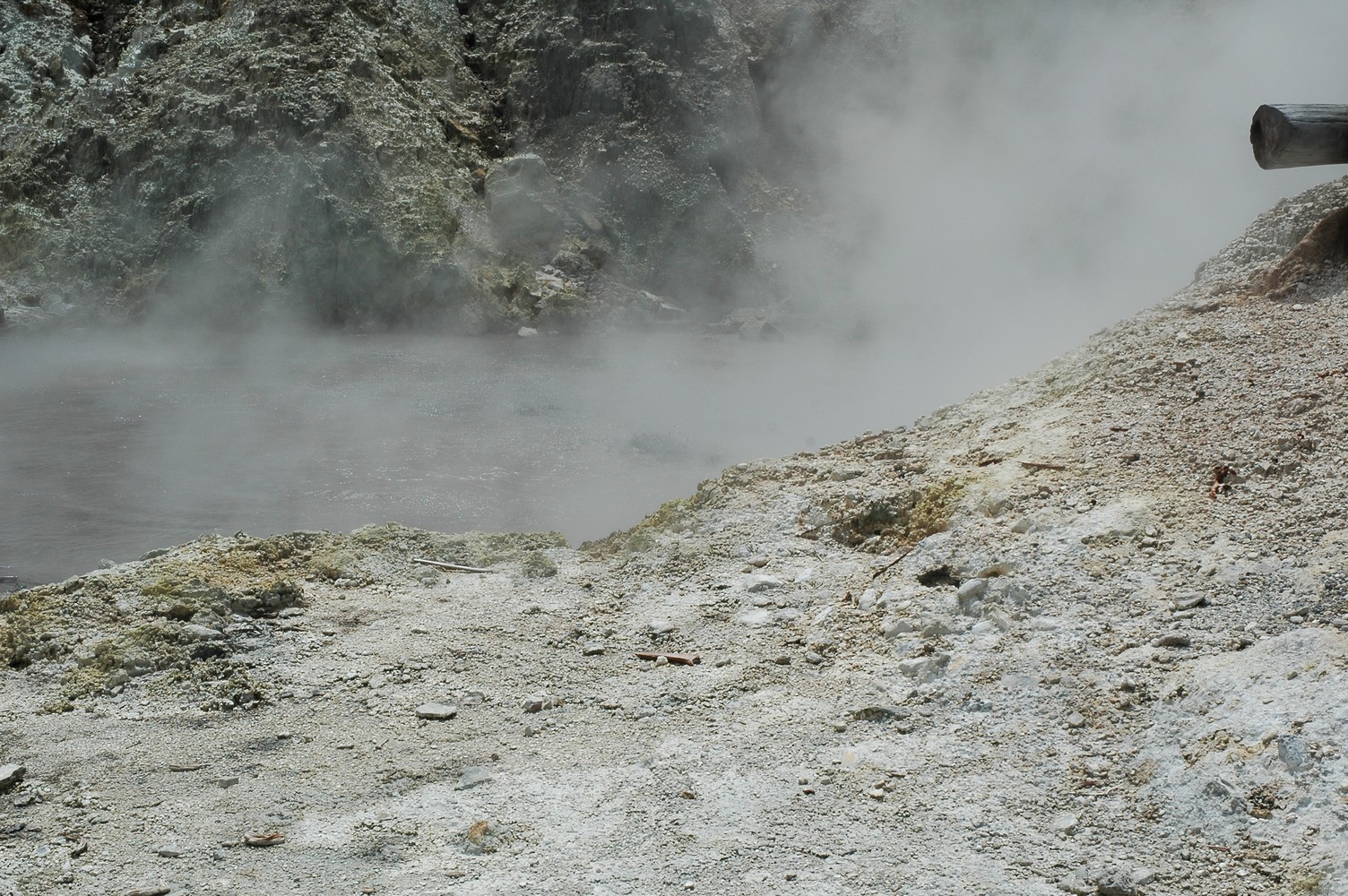 382   04 02   Rotorua